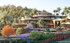 Hành trình tái tạo giữa miền thiên nhiên 100 niên tuổi