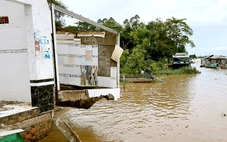 Nước lũ dâng cao kết hợp triều cường gây sạt lở tại nhiều tỉnh miền Tây