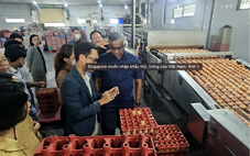 Vụ Công ty Ba Huân nợ thuế hơn 51 tỉ đồng: Bất ngờ từ người trong cuộc