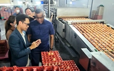 Vụ Công ty Ba Huân nợ thuế hơn 51 tỉ đồng: Bất ngờ từ người trong cuộc