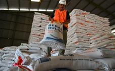 Khủng hoảng lúa gạo Thái Lan: Năng suất giảm, chi phí tăng, giá xuất khẩu thấp nhất 15 năm