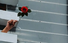 Nhiếp ảnh gia kể chuyện đồng lòng vượt qua đại dịch COVID-19