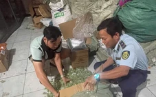 Quản lý thị trường TP.HCM thu giữ hơn 1 tấn kẹo dẻo không rõ nguồn gốc rao bán dịp Tết