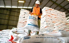 Khủng hoảng lúa gạo Thái Lan: Năng suất giảm, chi phí tăng, giá xuất khẩu thấp nhất 15 năm