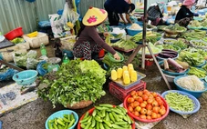 Giá rau xanh, bầu, mướp... ở miền Tây tăng cao vì mùa nước nổi làm đứt vụ