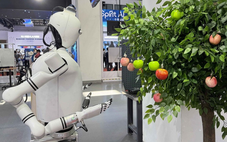 Amazon giội 'gáo nước lạnh' vào cơn sốt robot hình người tại Web Summit