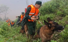 Huy động chó nghiệp vụ lùng sục tìm 3 nạn nhân nghi bị vùi lấp trong sạt lở ở Đà Nẵng