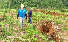 Trên đồi xuất hiện vết nứt dài hơn 150m, chính quyền sơ tán dân, cấm đường