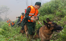 Huy động chó nghiệp vụ lùng sục tìm 3 nạn nhân nghi bị vùi lấp trong sạt lở ở Đà Nẵng