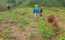 Trên đồi xuất hiện vết nứt dài hơn 150m, chính quyền sơ tán dân, cấm đường