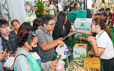 Hàng chục ngàn lượt khách ‘phủ xanh’ ngày hội Việt Nam Xanh