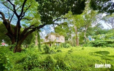 UBND TP.HCM: 3 trong 7 biệt thự cổ ở khu đất số 1 Lý Thái Tổ xuống cấp nặng, cần xử lý