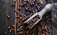 Uống nước đinh hương giúp diệt giun trong đường ruột?
