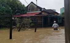 Quy Nhơn ngập lụt, chủ tịch tỉnh yêu cầu sơ tán dân khỏi nơi nguy hiểm