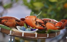 Độc đáo món chè cua Cà Mau, sự giao thoa vị mặn - ngọt