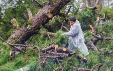 Đà Lạt bị cô lập sau khi nhiều đèo sạt lở là tin thất thiệt