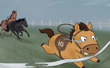 Mã Tiểu Dã, chú ngựa 'vừa chạy vừa khóc' gây bão từ Trung sang Việt