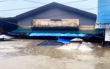 Sống chung với lụt