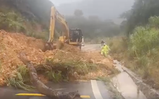 Giải cứu 2 tài xế xe tải chở hoa mắc kẹt trên đèo Khánh Lê