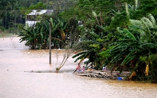 Nhiều làng ven sông Vu Gia - Thu Bồn lại mênh mông nước đợt mưa lũ mới