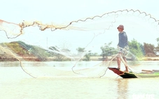 Người dân miền Tây bội thu mùa cá đồng