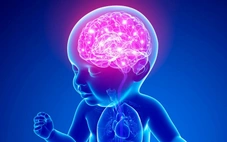 Phát hiện đáng ngạc nhiên về não trẻ sơ sinh