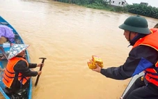 Khánh Hòa hỗ trợ 7 tỉ đồng để 4 tỉnh, thành miền Trung khắc phục hậu quả lũ lụt