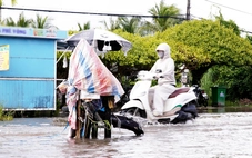 Cà Mau vận hành hơn 300 cống, đập ngăn triều cường Rằm tháng 9