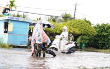 Cà Mau vận hành hơn 300 cống, đập ngăn triều cường Rằm tháng 9