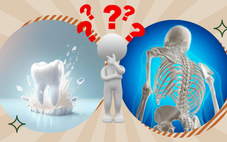 Vì sao răng không được xem là xương?