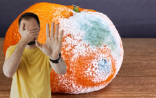 Đừng liều ăn thực phẩm mốc, nguy hiểm khôn lường