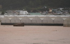 Lâm Đồng đề nghị các thủy điện phối hợp cắt lũ, sơ tán dân vùng hạ du