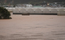 Lâm Đồng đề nghị các thủy điện phối hợp cắt lũ, sơ tán dân vùng hạ du