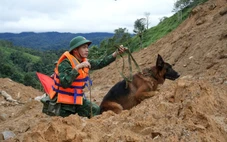 100 bộ đội biên phòng dẫn chó nghiệp vụ tìm kiếm 2 nạn nhân bị vùi lấp ở Đà Nẵng