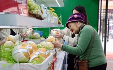 Từ nho sữa, lê Hàn Quốc đến máy ảnh Canon, xe máy Honda đều có hàng giả