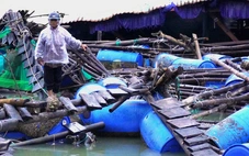 Cận cảnh bè cá tan nát dưới chân cầu ở Phú Yên cũ