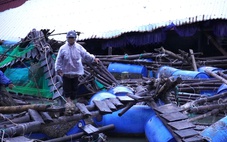 Cận cảnh bè cá tan nát dưới chân cầu ở Phú Yên cũ