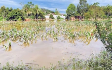 Đồng Nai đề nghị Lâm Đồng phối hợp cung cấp thông tin xả lũ các hồ thủy điện