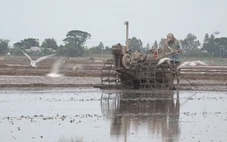 Cuộc thi Lan tỏa năng lượng tích cực 2025: Mùa lúa mới trên những cánh đồng phù sa