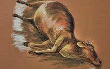 ‘Thương quá đồng bào tôi’ qua nét vẽ của họa sĩ Lê Sa Long