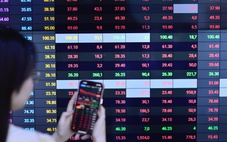 Con trai sếp REE muốn bán bớt cổ phần, động thái mới chủ tịch Nam Long với quyền mua cổ phiếu