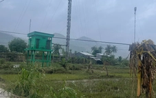 Khẩn trương khôi phục mạng lưới viễn thông tại Phú Yên cũ sau lũ lịch sử