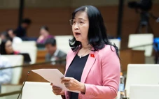 Tranh luận công nhận sản phẩm tạo trí tuệ nhân tạo (AI), đại biểu đề nghị thận trọng tránh sao chép