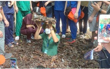 Bảo tồn, phát huy giá trị di sản ở 'siêu đô thị' TP.HCM