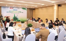 Bắt đúng 'bệnh' và cần nhiều giải pháp dài hơi để 'trị' ô nhiễm không khí ở đô thị