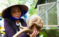 Bên trong khu cứu hộ động vật hoang dã quý hiếm bậc nhất miền Tây