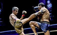 Đòn đá môn nào mạnh nhất - taekwondo, karate, muay hay kickboxing?