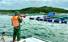 Đắk Lắk ra công điện khẩn ứng phó với bão số 15, sơ tán dân khỏi khu vực nguy hiểm