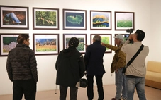 Vẻ đẹp Việt Nam và Indonesia qua nhiếp ảnh