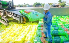 Đạm Phú Mỹ, Đạm Cà Mau cùng nhiều doanh nghiệp phân bón đồng loạt báo lãi đậm